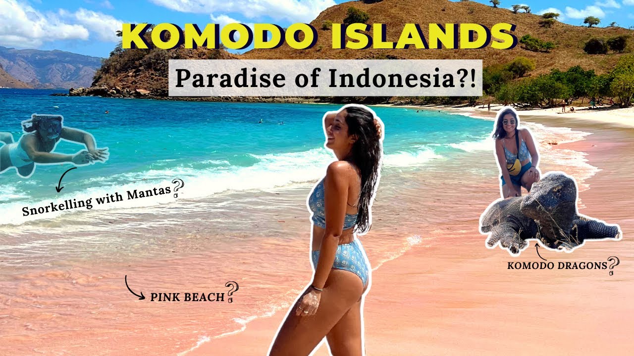 I Travelled Solo to KOMODO ISLANDS | Pink beach, KOMODO DRAGONS – Bucket List Memories!